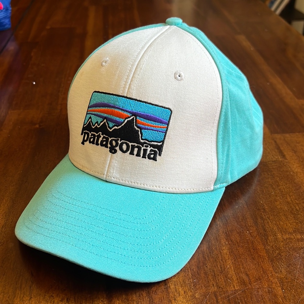 Patagonia logo hat